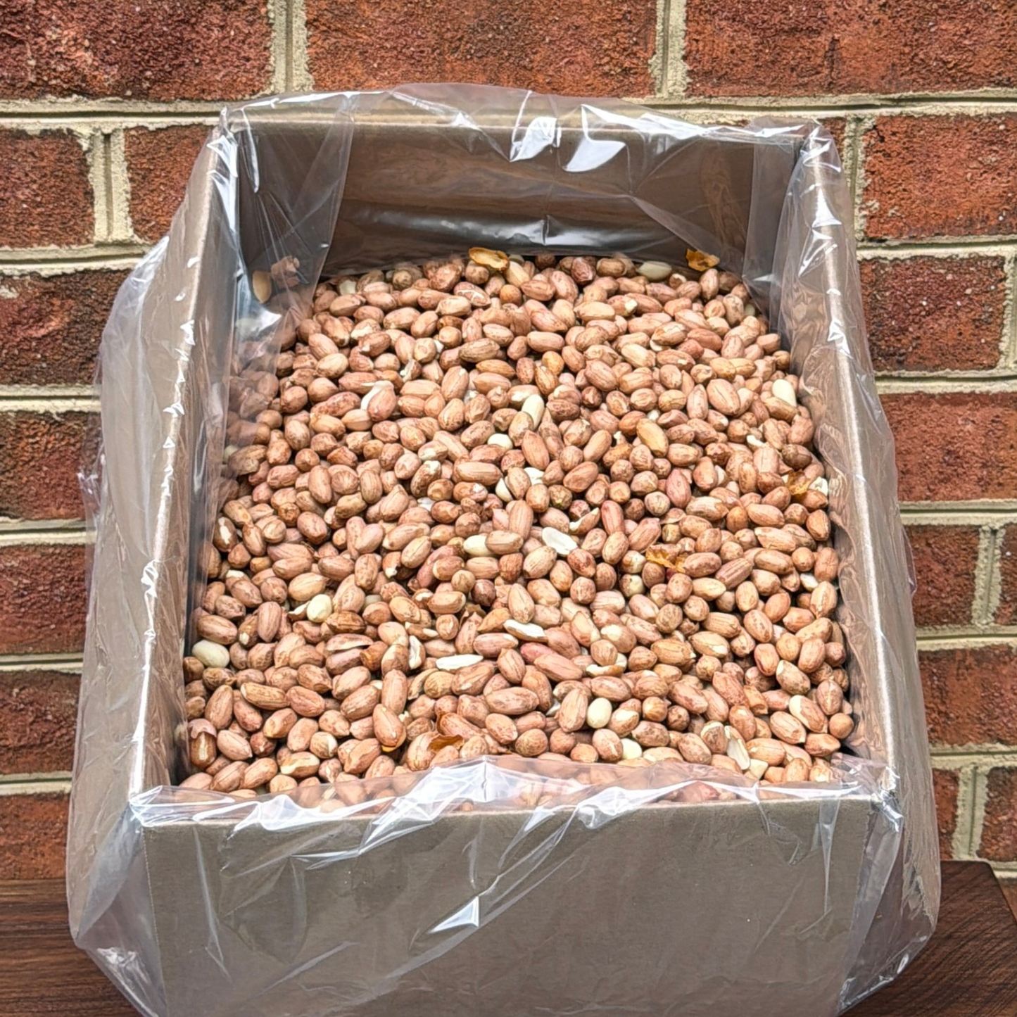 Jumbo Raw Redskin Virginia Peanuts